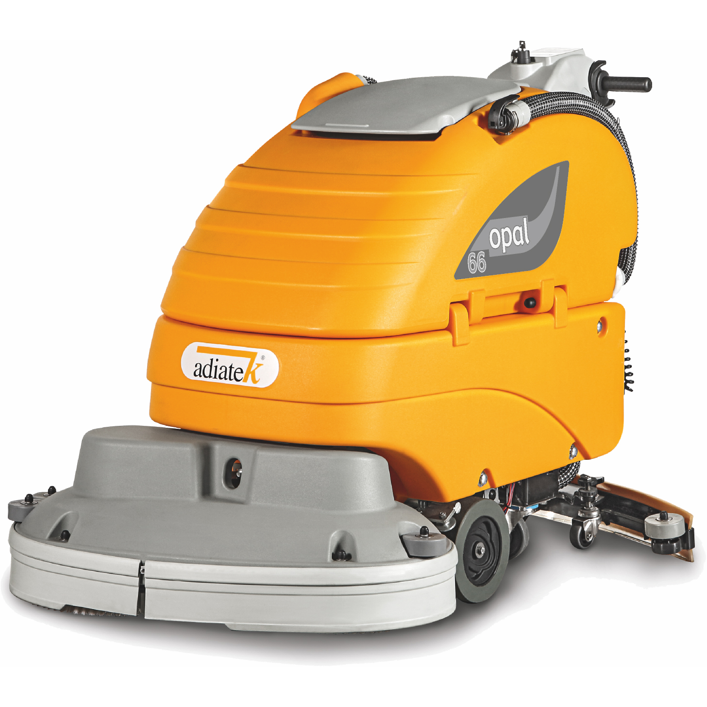 Opal 66